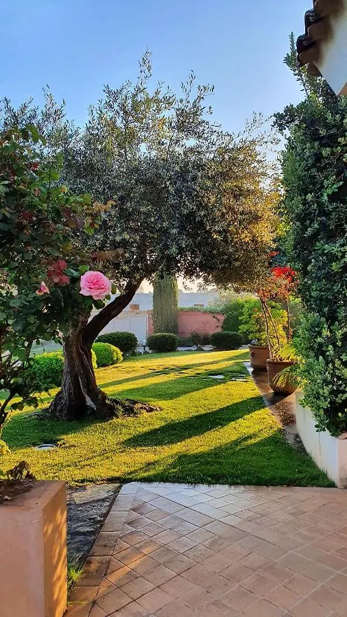 Villa Dammusello Marsala
